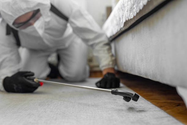 Professional Pest Control technician working in Cobb County County, GA
